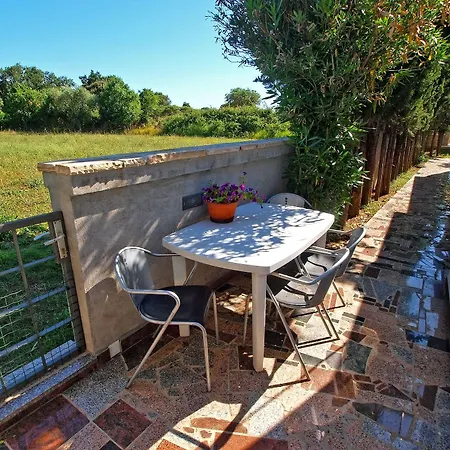 Volf 1405 * 佩罗杰