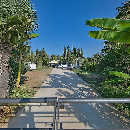 Volf 1405 Apartamento *